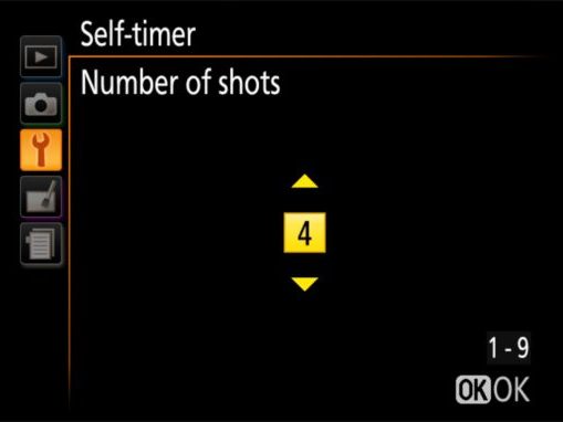 How do I use the self timer on my Nikon