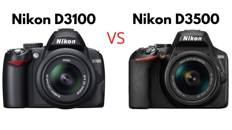 Nikon D3100 vs Nikon D3500