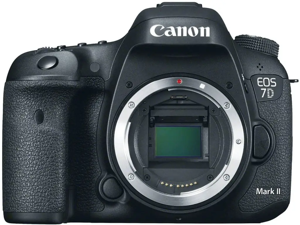 canon semi-professional DSLR camera
