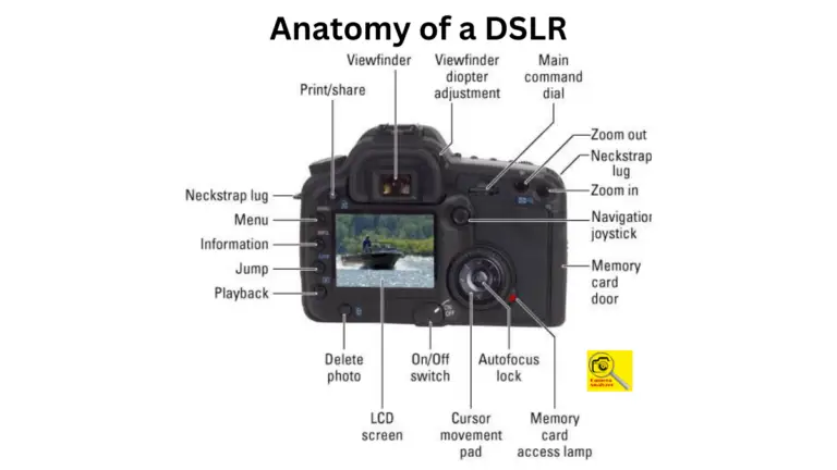 Anatomy of a DSLR